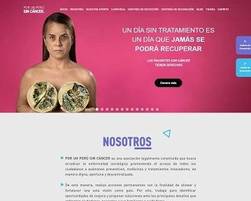  Diseño y Desarrollo de pagina web para por un peru sin cancer
